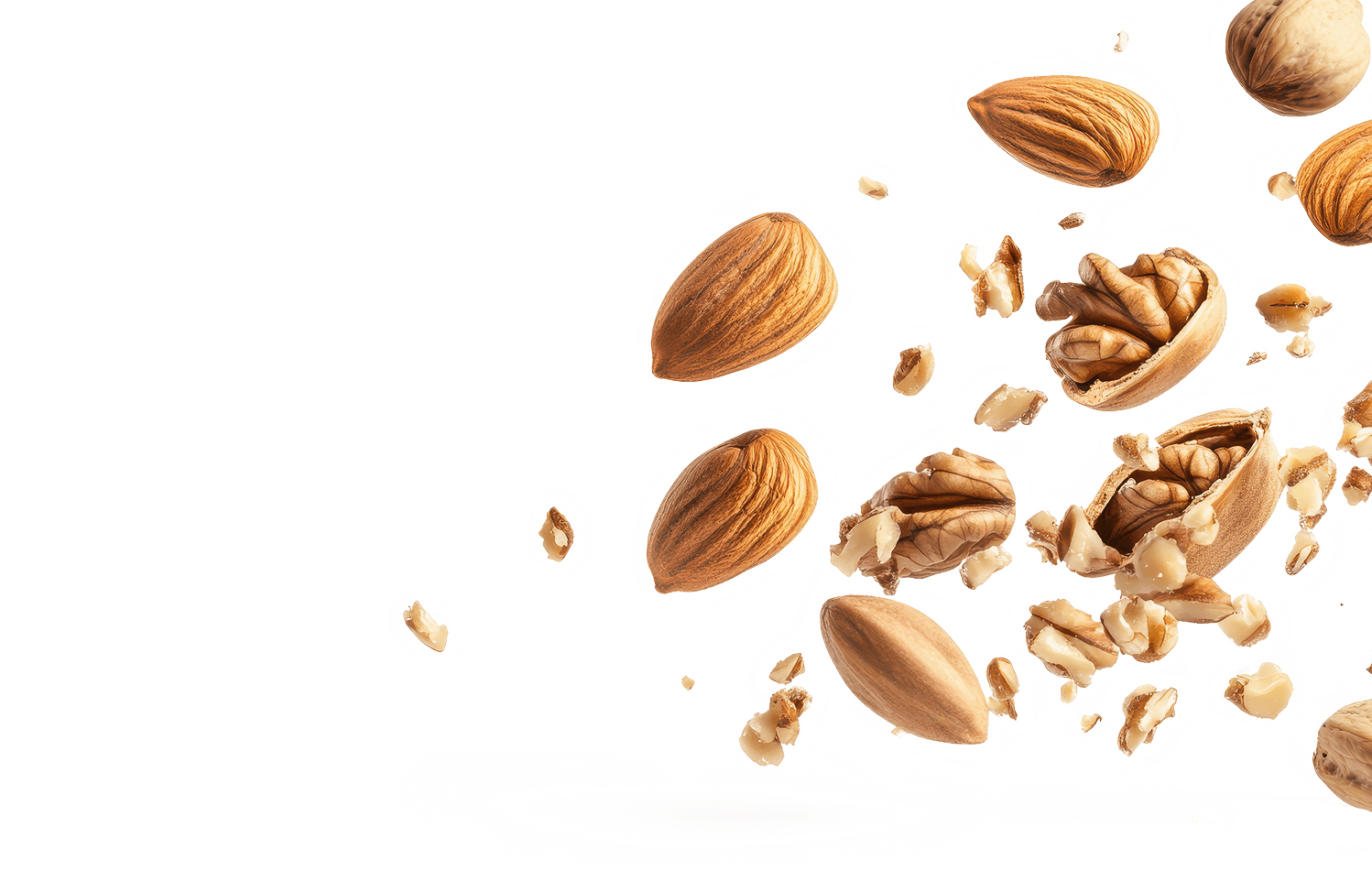 Isolated nuts